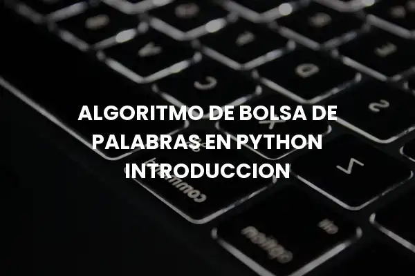 Algoritmo De Bolsa De Palabras En Python Introduccion