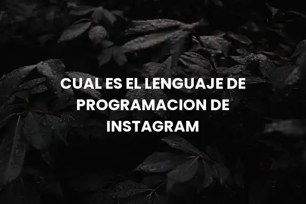Cual Es El Lenguaje De Programacion De Instagram