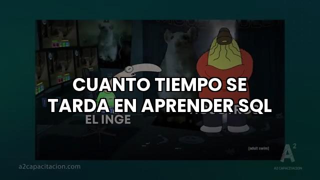 ¿Cuánto Tiempo se Tarda en Aprender SQL?