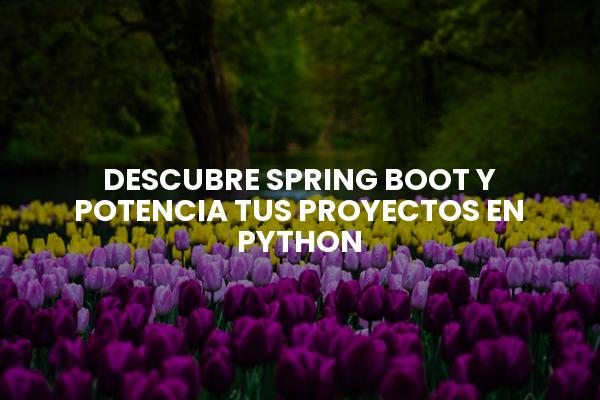 Descubre Spring Boot Y Potencia Tus Proyectos En Python