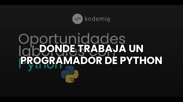 Donde Trabaja Un Programador De Python