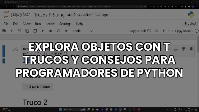 Explora Objetos Con T Trucos Y Consejos Para Programadores De Python