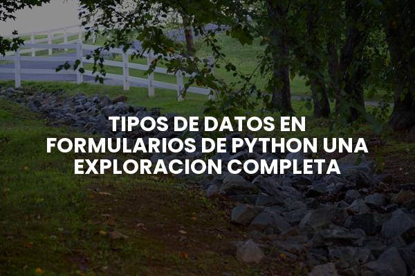 Tipos De Datos En Formularios De Python Una Exploracion Completa